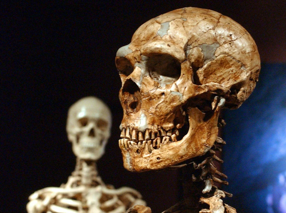 Gallery of Evolution: Skip The Line Discount
